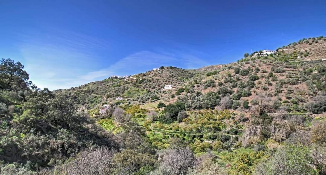 Finca El Almendro Árchez Exterior foto