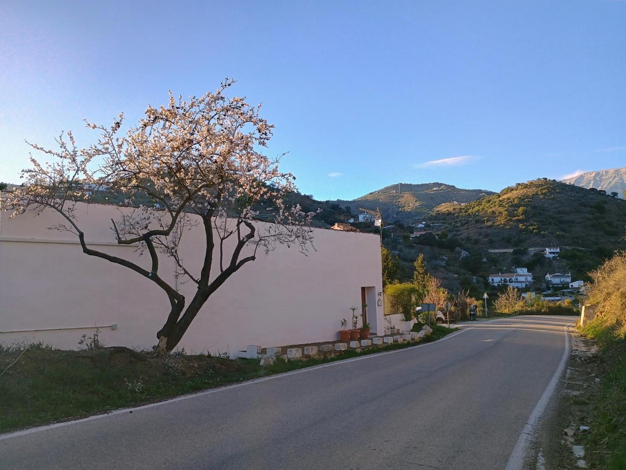 Finca El Almendro Árchez Exterior foto